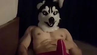 Japan Gay XXX 1